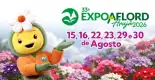 33 Expo Aflord Arujá 2026