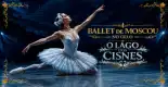 Ballet de Moscou no Gelo O Lago dos Cisnes
